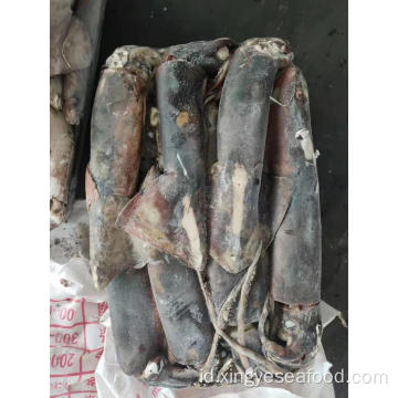 Frozen Squid Dosidicus Gigas Seluruh Round 1000-2000g